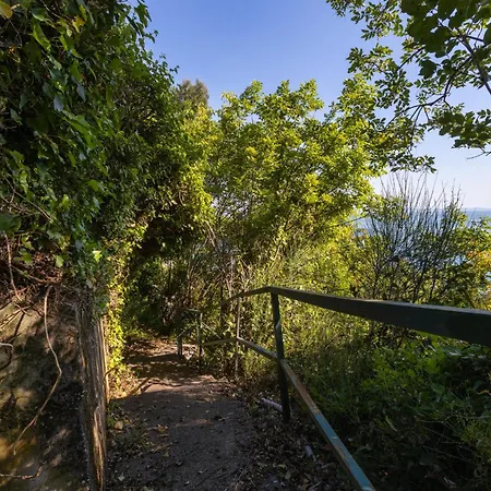 Vila Rilke, Oasi Con Vista Golfo Di Trieste
