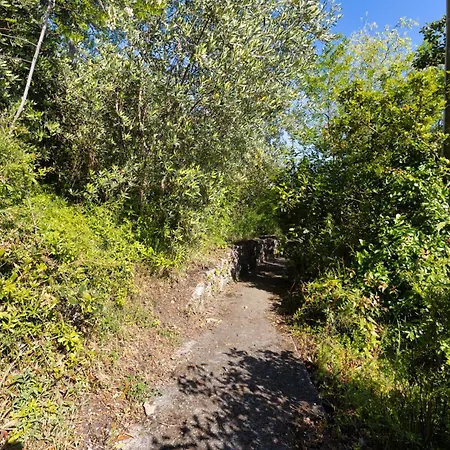 Rilke, Oasi Con Vista Golfo Di Trieste *