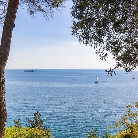 Rilke, Oasi Con Vista Golfo Di Trieste * 西斯蒂亚纳